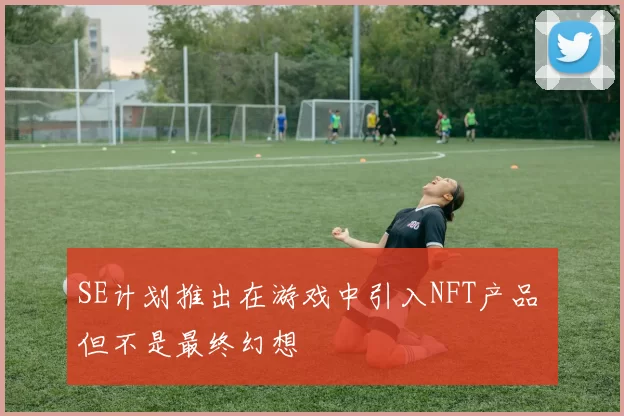 SE计划推出在游戏中引入NFT产品 但不是最终幻想