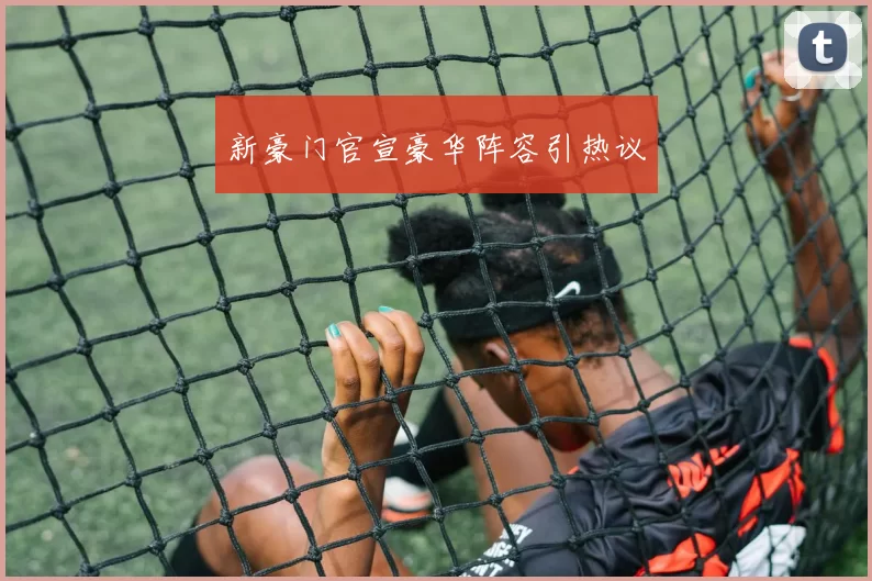 新豪门官宣豪华阵容引热议