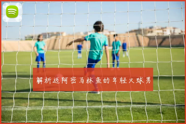 解析迈阿密马林鱼的年轻火球男