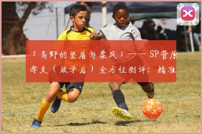 「乌野的坚盾与柔风」—— SP菅原孝支（放学后）全方位测评：精准传控，逆转强攻！