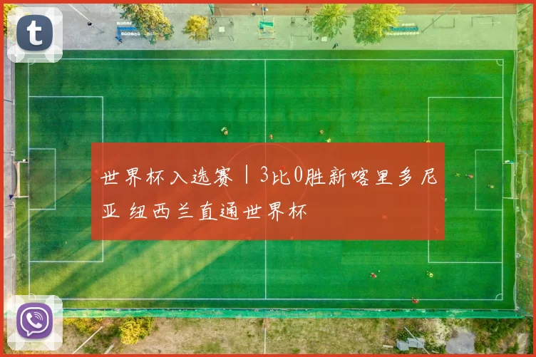 世界杯入选赛｜3比0胜新喀里多尼亚 纽西兰直通世界杯