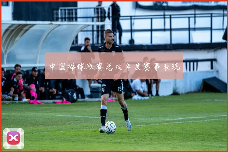 中国棒球联赛总结年度赛事表现