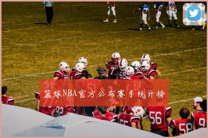 篮球NBA官方公布赛季统计榜