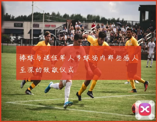 棒球与退伍军人节球场内那些感人至深的致敬仪式