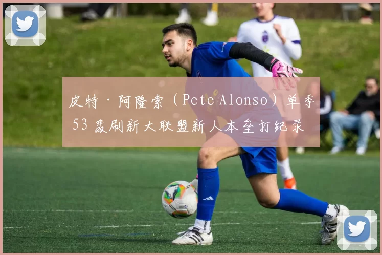 皮特·阿隆索（Pete Alonso）单季 53 轰刷新大联盟新人本垒打纪录