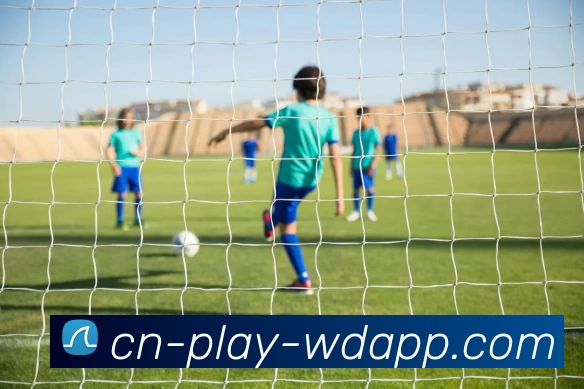 问鼎app平台生态图